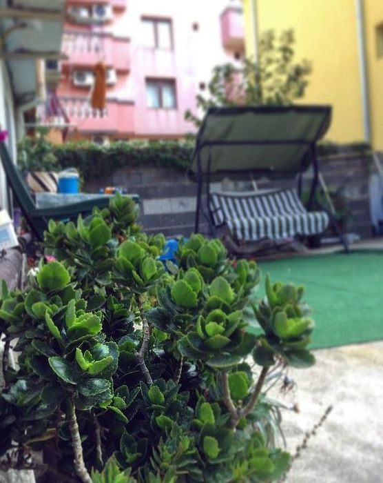 Дава се под наем Тристаен апартамент в Бургас, Лазур - 85 кв.м за 612 € - Снимка #6