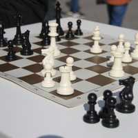 Продам шахматы для игры и обучения