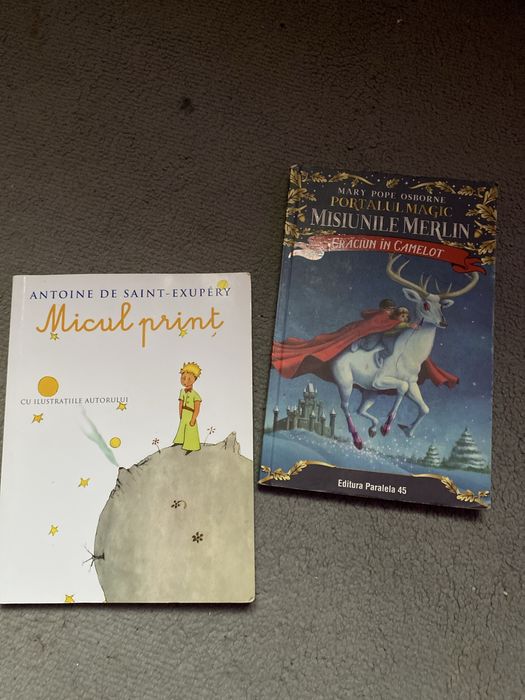 2 carți- Micul Print şi Crăciun in camelot