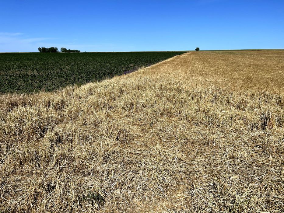 Teren la mare la Corbu, Constanta. 15 min de Mamaia Nord.