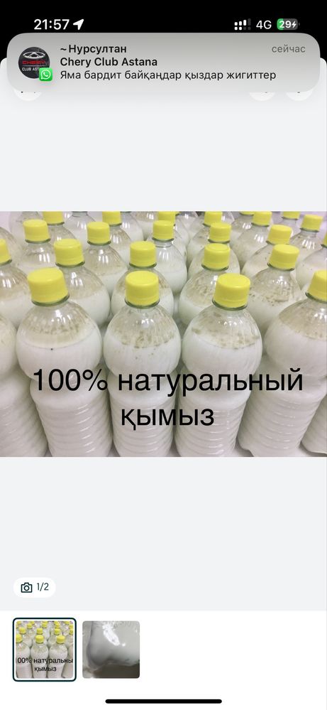 Кымыз таза свежий кумыс