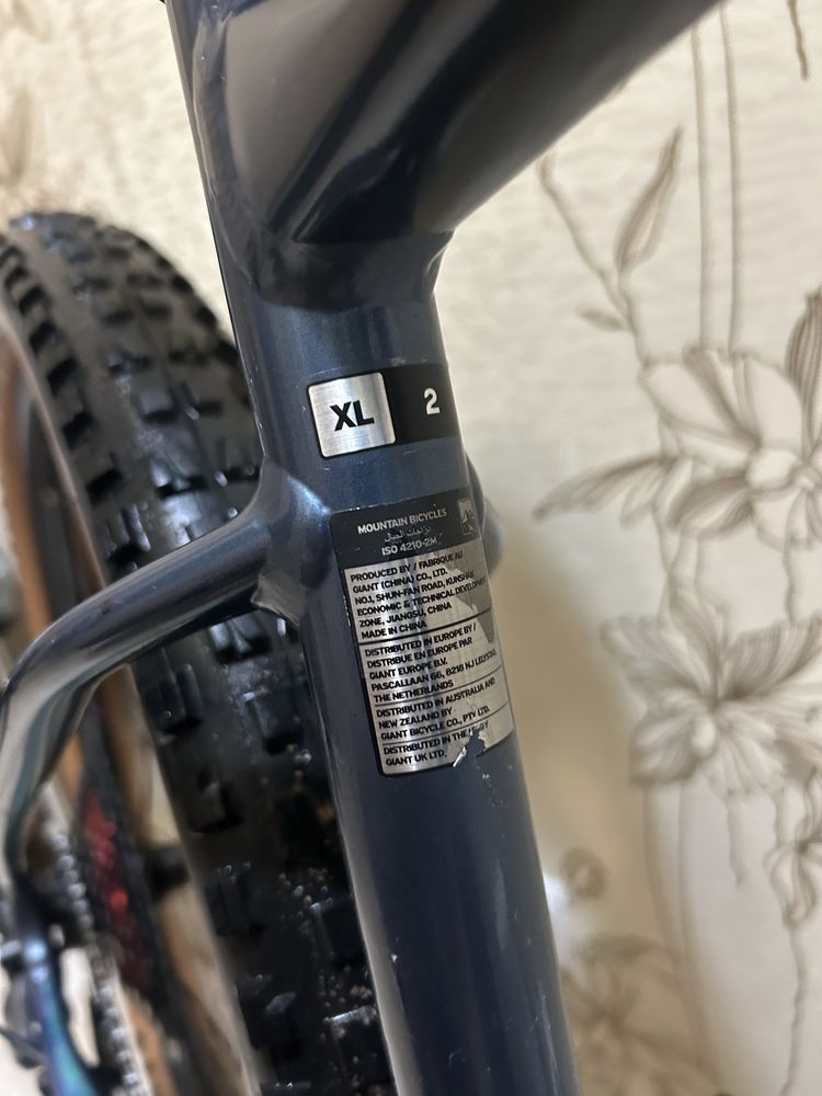 Giant fathom XL size 29