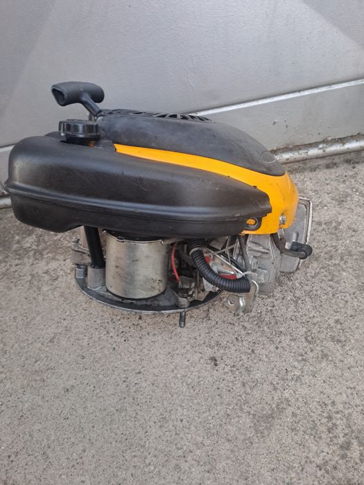 Motor masina de tuns iarba
