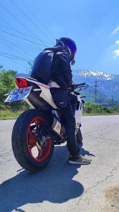 Глушитель Akrapovich