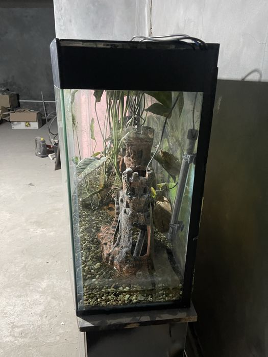Продаётся аквариум