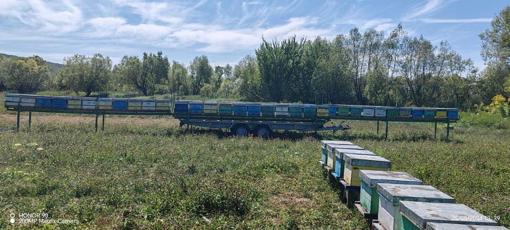 Platformă auto  Apicultor 2700kg