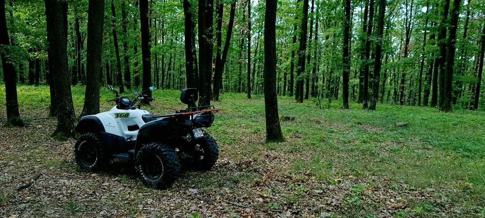 ATV | TGB Blade 425 | 4 x 4 | Arctic Camo