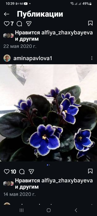 Продажа комнатных цветов