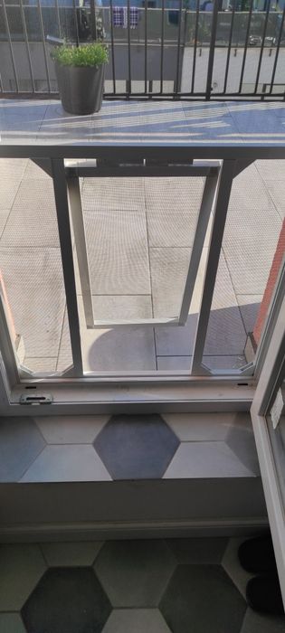 Plase insecte la comanda