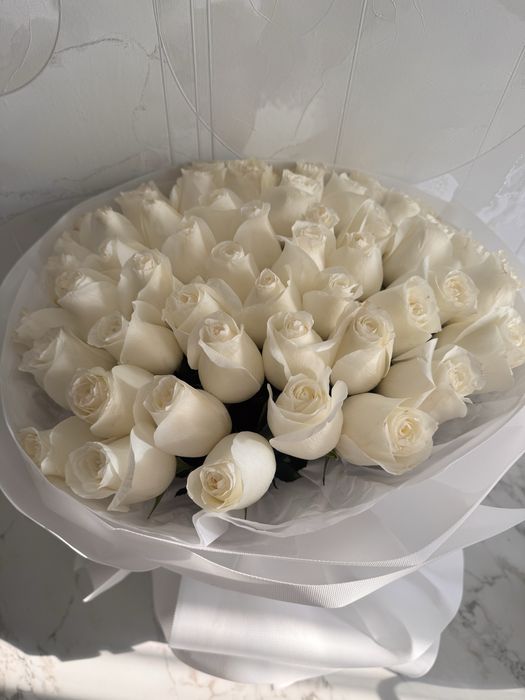 Цветы Голландские Proud