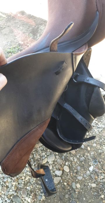 Şa de cal thorowgood