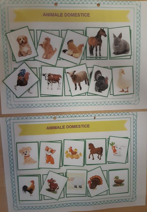 Dosar planșe activități asocieri-potriviri,învătarea animale,culori