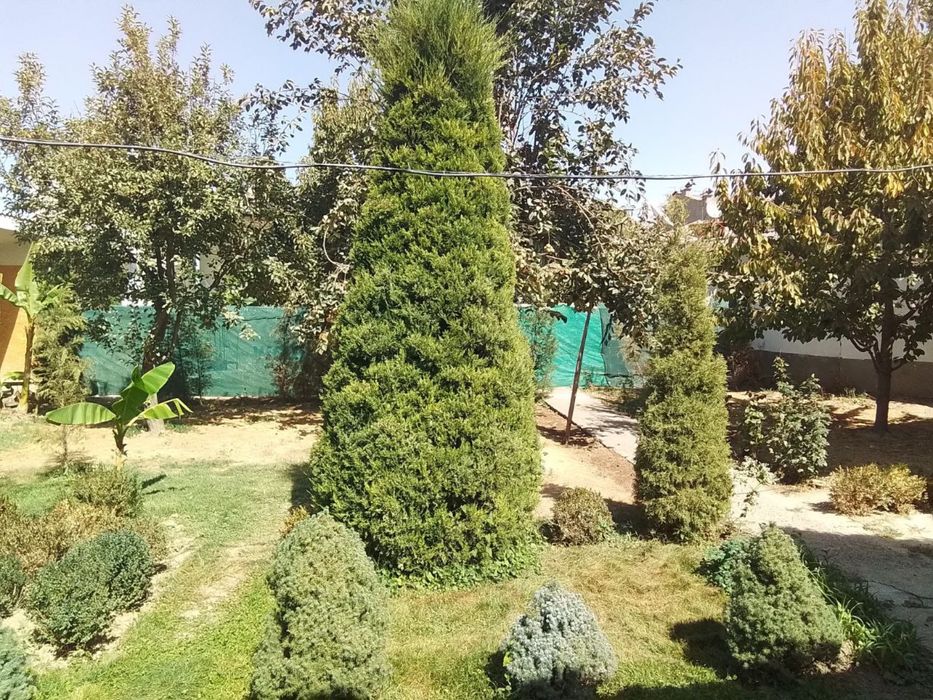 Дом на Чайхане Салом