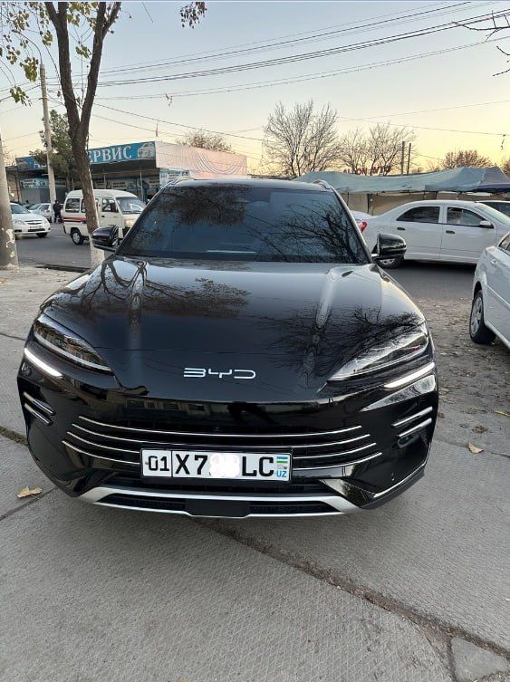 BYD chempion gibrid full