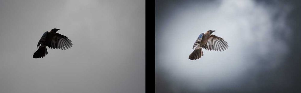 Професионална обработка на снимки!