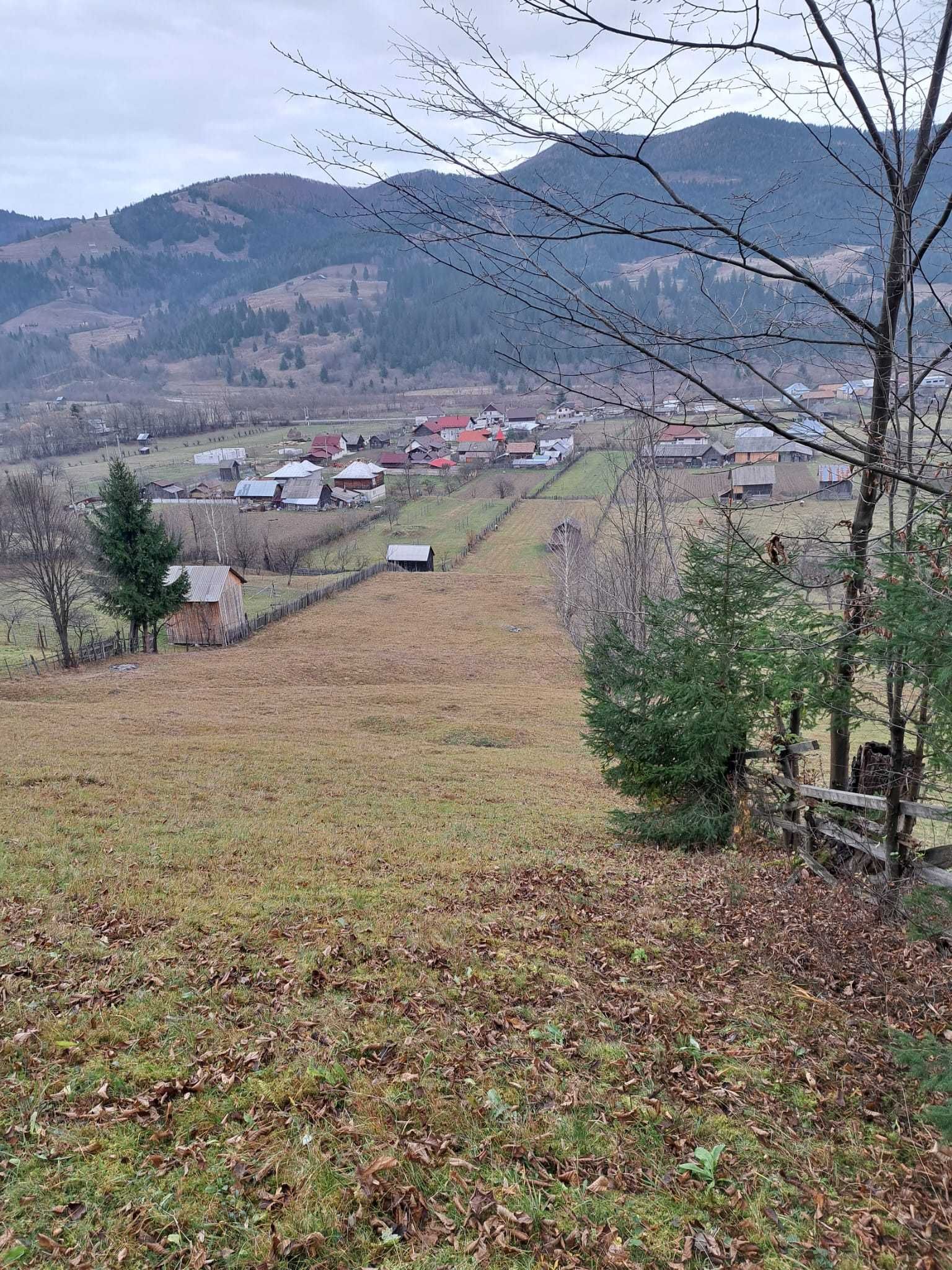 Teren intravilan, comuna Vama, sat Strâmtura | BUCOVINA |