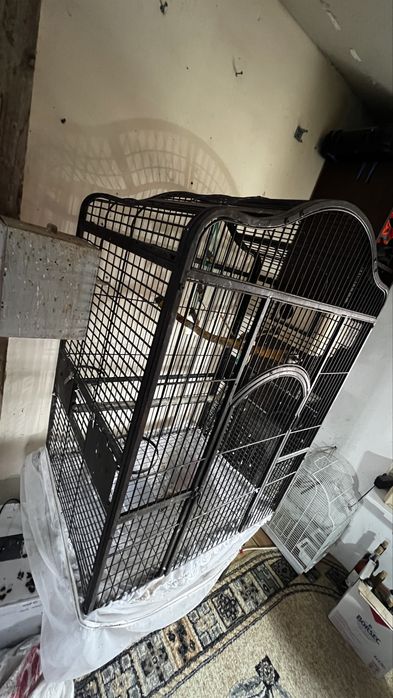 Vand schimb colivie mare