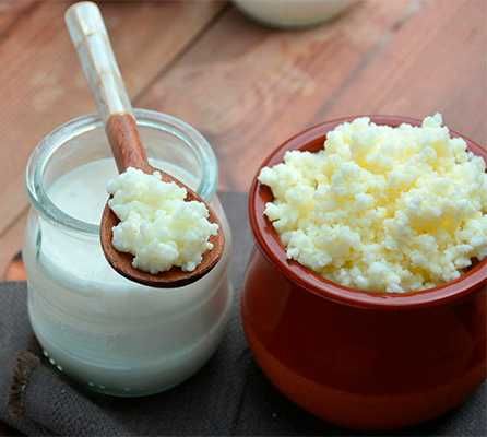 Kefir Tibetan (Ciuperca pentru preparare chefir)