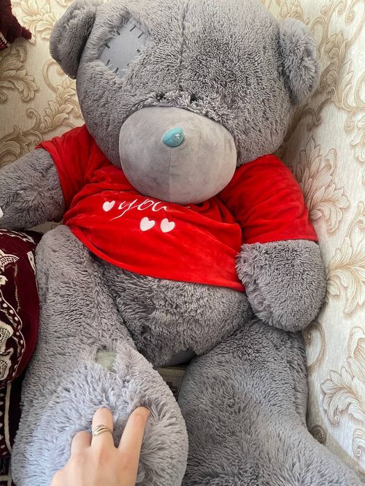 Tedii ayiqcha razmeri zōr