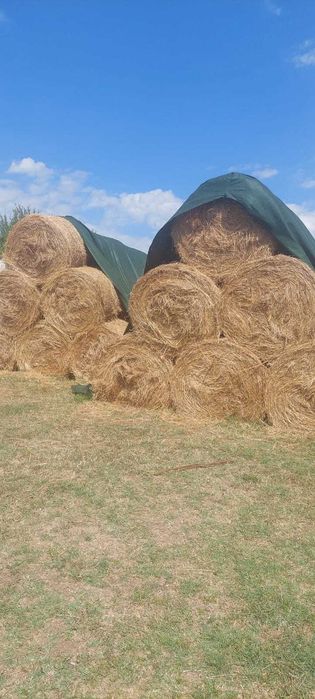 Baloti rotunzi de fân