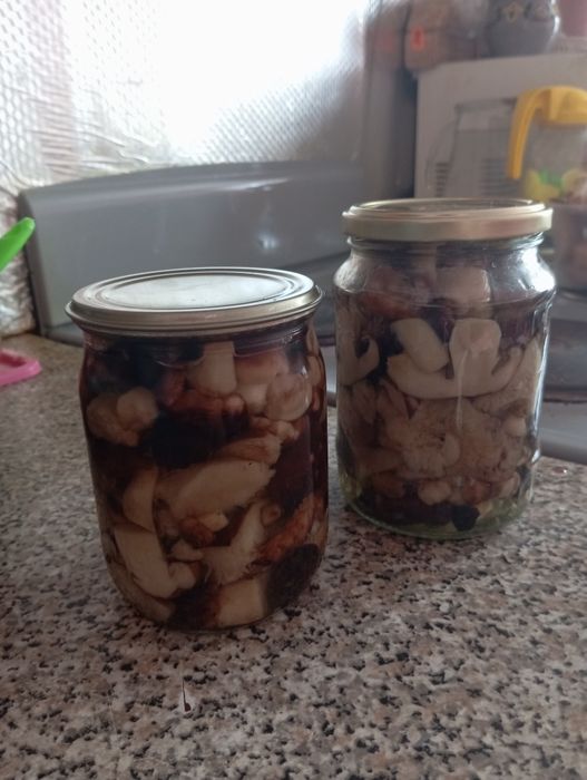 Продам маринованные подтопольники