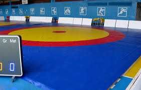 Борцовские маты НПЭ (2*1*0,04м) рассрочка есть