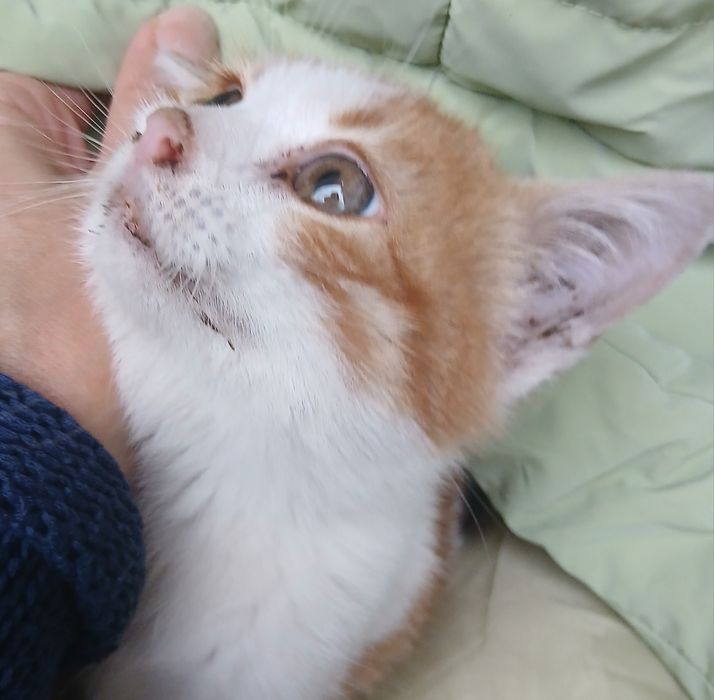 Младеж си търси дом