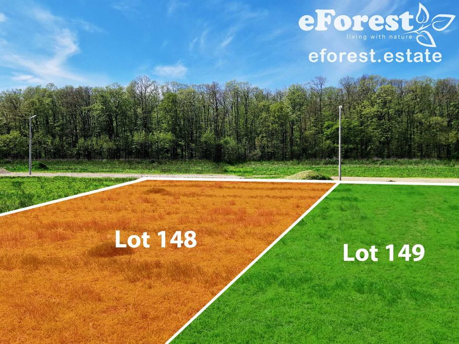 Loturi de teren lângă pădure