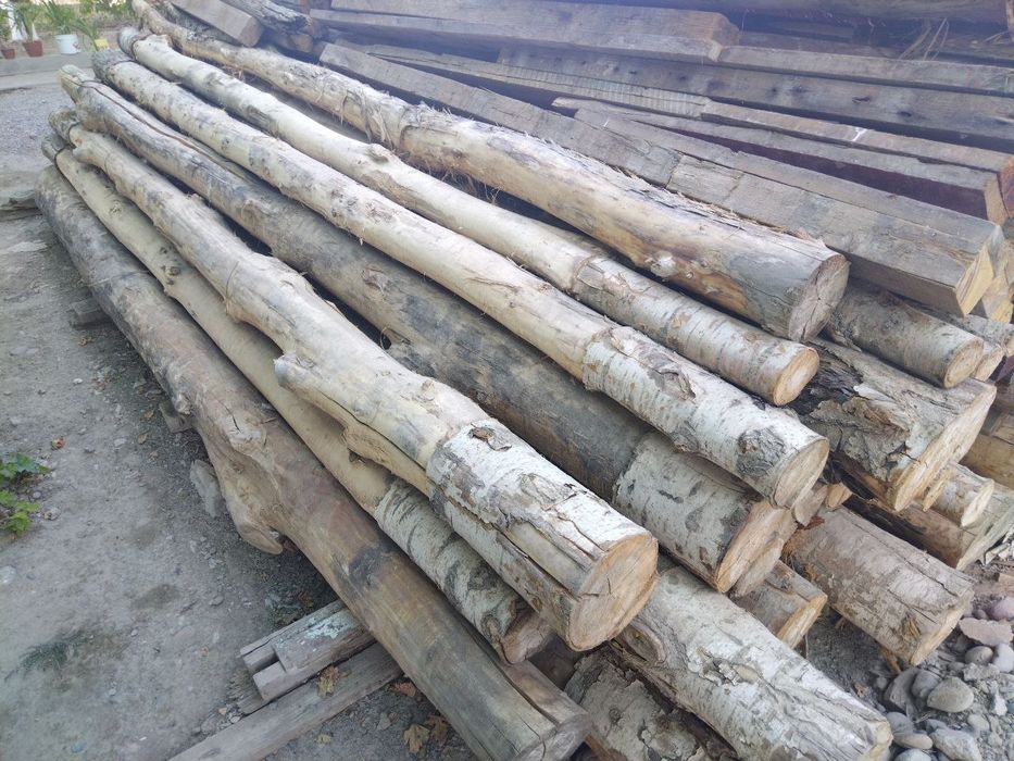 Teraklar bor Tosinlar4.8, Tildiradigan 6 metr + 5 metr,  3 i 2 metrli