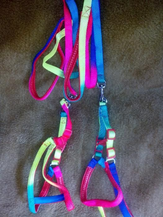 Нагръдник с повод за дребни/средни породи кучета