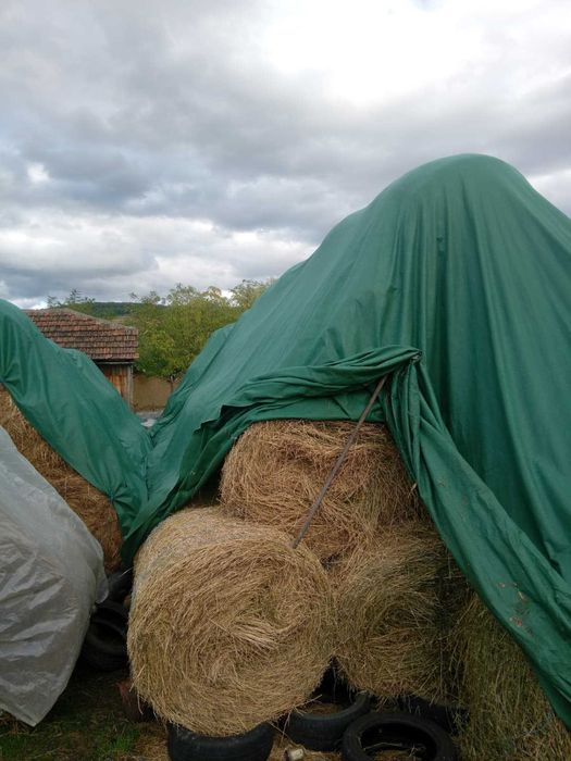 Vand baloti de lucerna