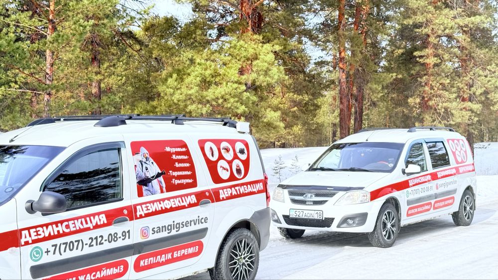 Акция 1 год гарантия