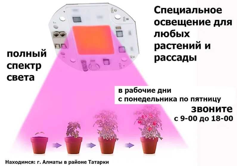 для растений и рассады ФИТО-ЛАМПЫ светильники от 10 до 300 ватт разные