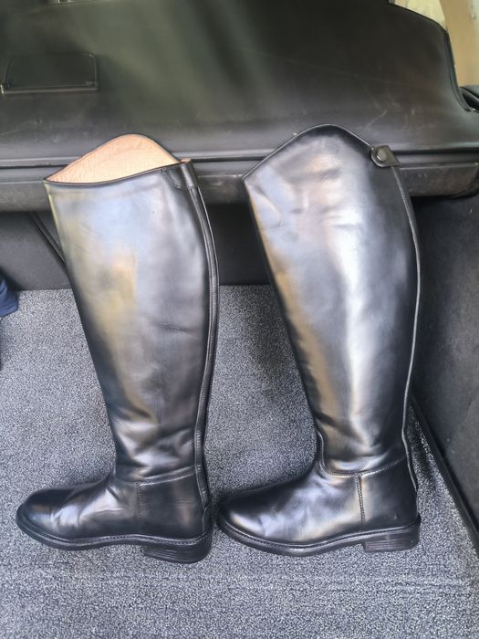 Articole Echitatie ( Calarie)