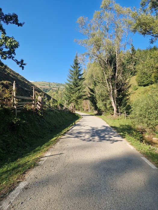 Teren 3,3 hectare intravilan + extravilan, Ilva Mare
