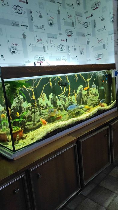 Продам аквариум 250 литров