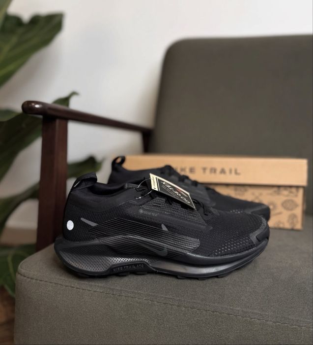 Nike Pegasus Trail 5 Gore-Tex