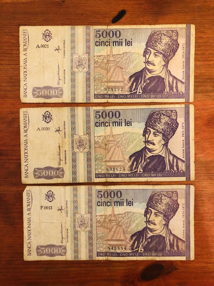 Bancnota 5000 lei 1993