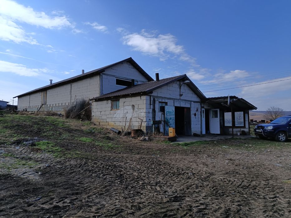 Vând fermă în Frata.