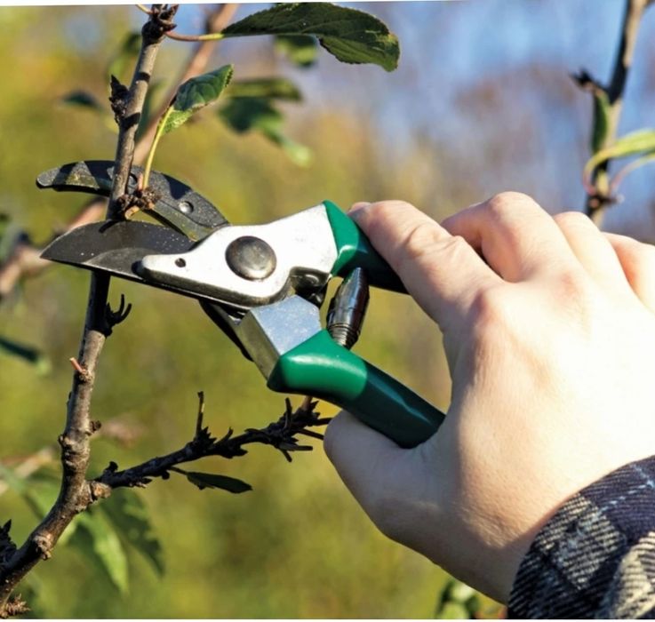 Садовник для вас