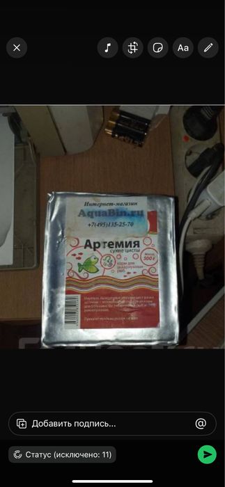 Продам цисты артемий 500гр