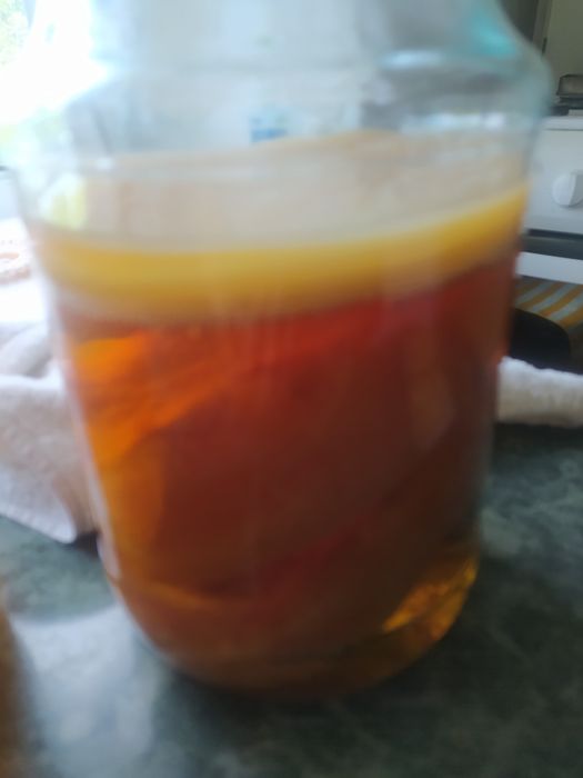 Чайный гриб, чайный квас