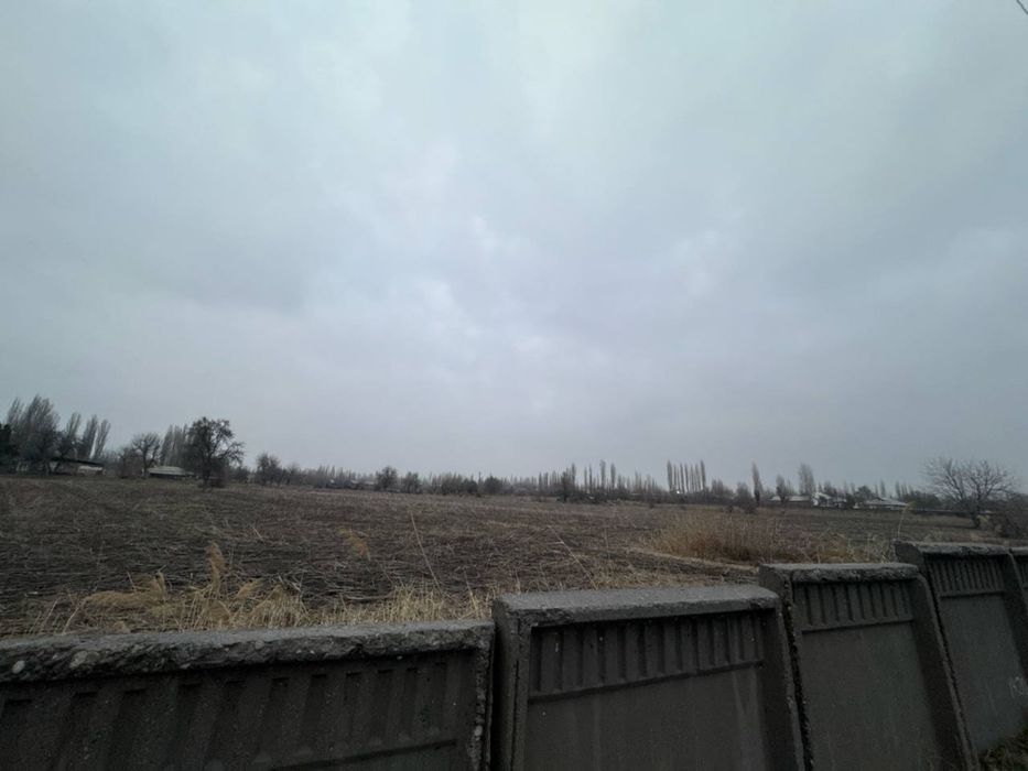 Продажа 10 гектра Ангрен Таш Область , земля в собственности не аренда