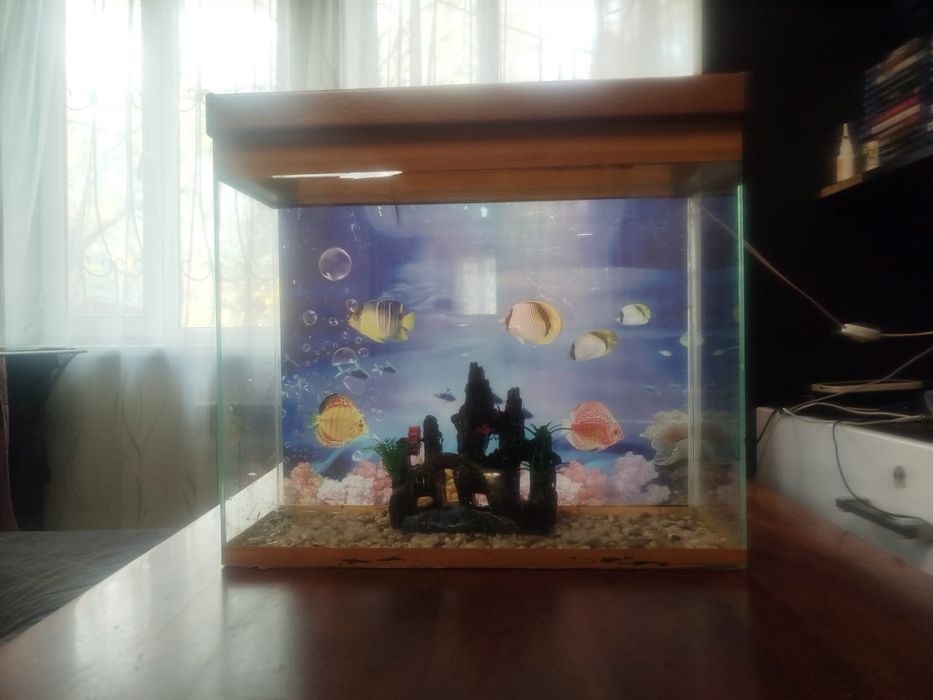 Продам аквариум 43 литра