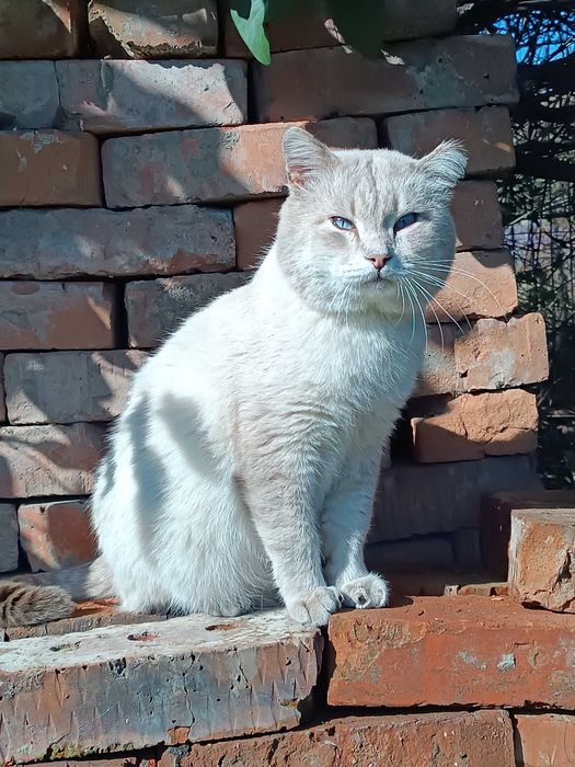 !!!СПАС ЖИЗНЬ Кто то…