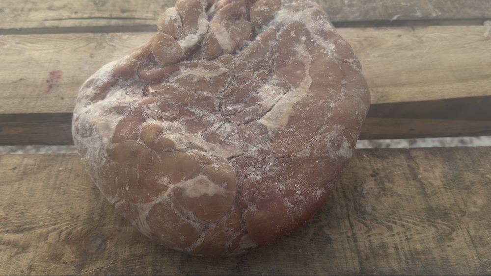 Ішек, кишки сатылады жылқының