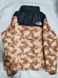 Geaca the north face