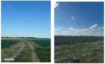 Teren extravilan, Valea Dragului, jud Giurgiu - 3035284