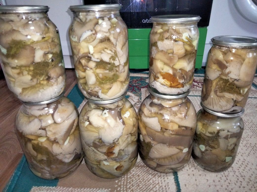 Продам грибочки звоните