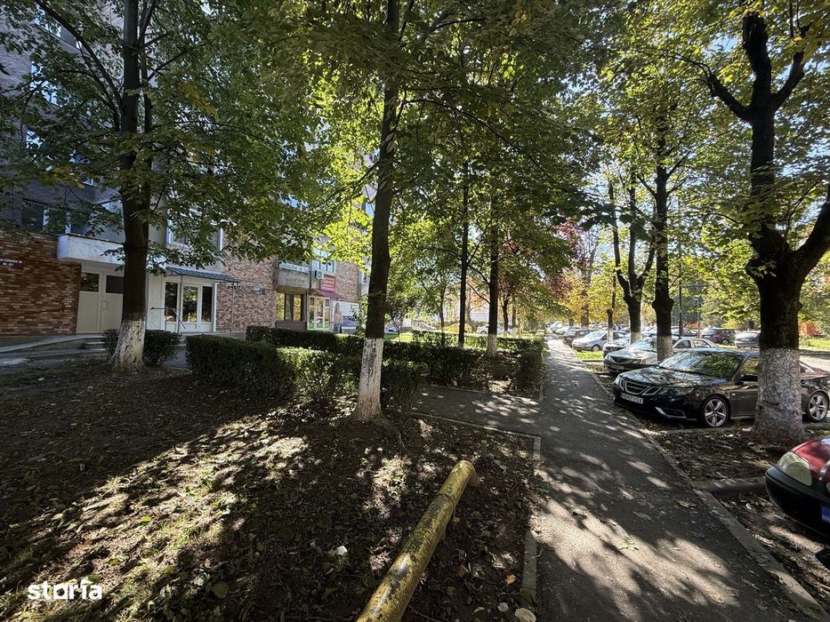 Chirie spatiu comercial,Bld Corvin,30 mp,renovat 2025